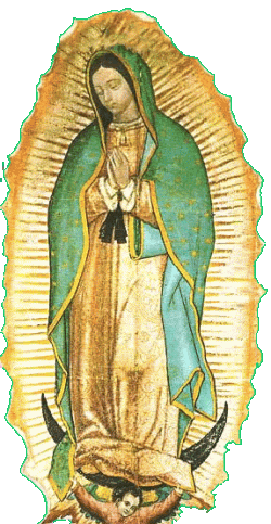 Our Lady transapent